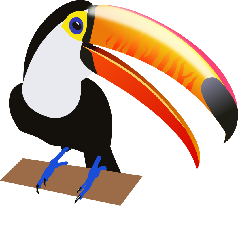  toucan clip art